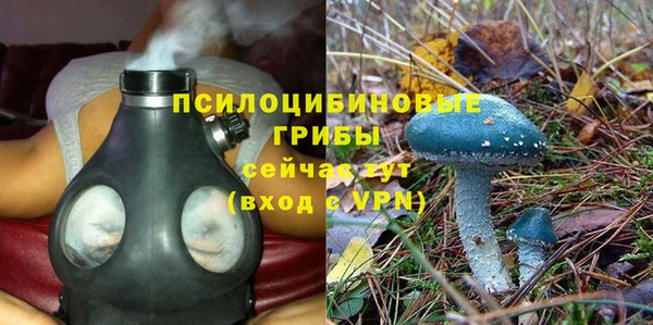 метадон Вяземский