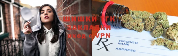 скорость Новозыбков