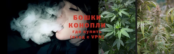 метадон Вяземский