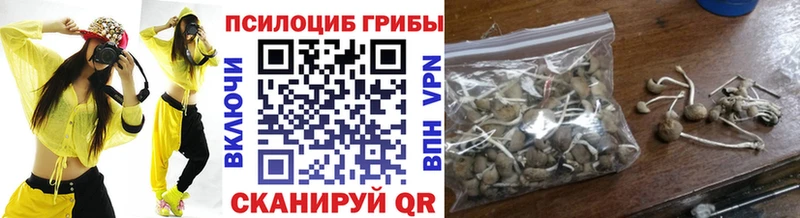 Галлюциногенные грибы Psilocybe Наро-Фоминск