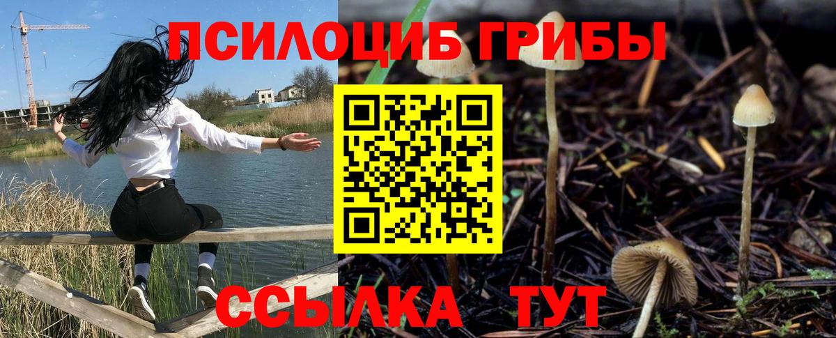 Наро-Фоминск  дарнет шоп  Псилоцибиновые грибы мицелий  Вход с VPN  Псилоцибиновые грибы ЛСД 